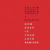 How Deep Is Your Love_Calvin Harris,Disciples