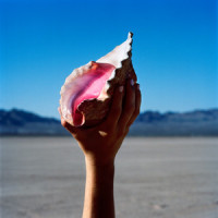 Have All The Songs Been Written?_The Killers