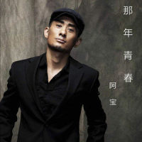 那年青春_阿宝