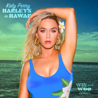 Harleys In Hawaii_Katy Perry,Win and Woo