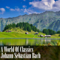 I. Allegro (Midi Version)_Johann Sebastian Bach