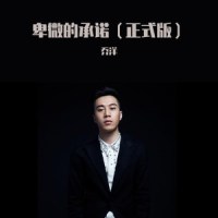 卑微的承诺_乔洋