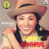 半山飘雨半山晴_凤飞飞