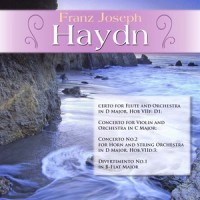 Concerto for Flute and Orchestra in D Major, Hob VIIf: D1: II. Adagio_Kurt Redel,Classical Artists,Various Artists