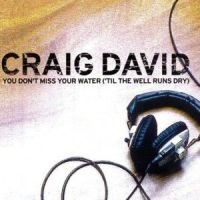 Static_Craig David