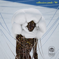 Veil_millennium parade