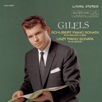 I. Allegro vivace (第一乐章 活泼的快板)_Emil Gilels,Franz Liszt