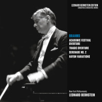 Finale. Andante_Leonard Bernstein,New York Philharmonic,Johannes Brahms