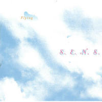 Peep_S.E.N.S.