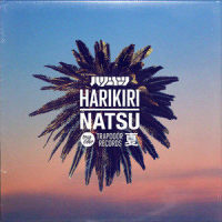 Natsu_HARIKIRI