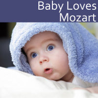 Serenade No. 13 in G Major, K. 525, "Eine Kleine Nachtmusik": II. Menuet: Allegretto_The Kiboomers
