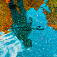 Snow_The fin.