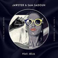 I Have to Say Goodbye(feat. Sélia)_Jawster,Sam Sadoun,Selia