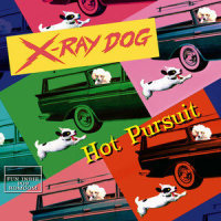 Mr Nice Guy_X-Ray Dog