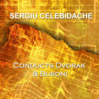 Violin Concerto In D Major Op 35a: Allegro Moderato_Sergiu Celibidache,Ferruccio Busoni,Sergu Celibidache,Siegfried Borries,Berlin Philarmoniker