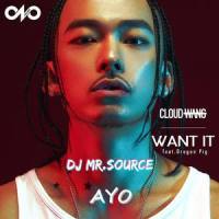 CLOUD WANG - WANT IT x AYO (SPACE RGMIX)_DJ?Mr.SouRce,CLOUDWANG 王云,Chris Brown