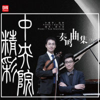 C大调小提琴与钢琴幻想曲,D934:第二乐章:小快板_高参,谭小棠,达人艺典