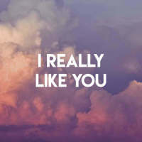 I Really Like You_Sassydee