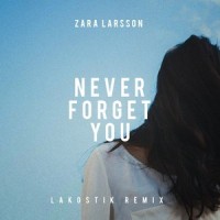 Never Forget You_Lakostik,Zara Larsson