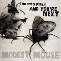 Satellite Skin_Modest Mouse