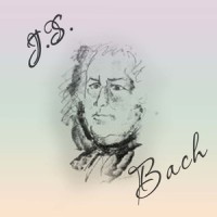 Organ Sonata No. 3 in D Minor, BWV 527: II. Adagio e dolce_Andrei Reshetin,Irina Shneyerova,Soloists of Catherine the Great