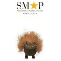 たいせつ (music track)_SMAP