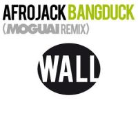 Bangduck_Afrojack