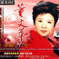 村寨的吉他声_董文华
