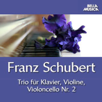 Sonatine No. 1 für Violine und Klavier in D Major, D. 384: III. Allegro vivace_Juliette Kang,Melvin Chen