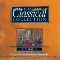 III. Presto (第三乐章 急板)_Karel Brazda,Philharmonia Slavonica