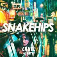 Cruel_Snakehips,ZAYN
