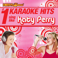 If We Ever Meet Again(As Made Famous By Timbaland)_Karaoke,Katy Perry