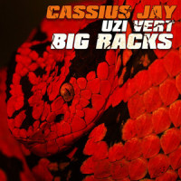 Big Racks_Cassius Jay,Lil Uzi Vert