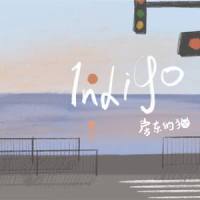 Indigo_房东的猫