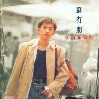 伤心的故事太多_苏有朋