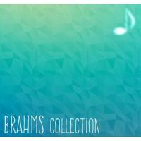 Ballades No. 2 in D major_Ralph Kruger,Johannes Brahms