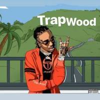 Plambo_NONAME_Trapper,Childish Gambino,Lilwi33a