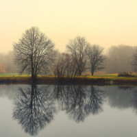 Magnolia_Spa,Relaxing Music,Study Music Library