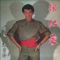 傻瓜与野丫头_陈宝玲,罗文