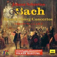 I. Allegro_Ferenc Lukas,Georg Bongartz,Vesna Jakimovski,Frank Struck,Davide Toso,Cologne New Philharmonic Orchestra,Volker Hartung
