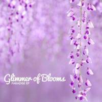 Crazy (Original Version)_Glimmer of Blooms