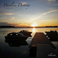 Letters from the Battleground_Painless Destiny