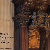 Symphony No. 2 in C Minor, IGM. 8: 3. In ruhig fließender Bewegung_David Ennarqua,Gustav Mahler
