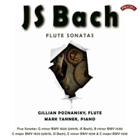Sonata in G Minor, BWV 1020: I. Allegro_Gillian Poznansky,Mark Tanner,Johann Sebastian Bach