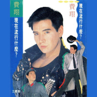 夜的橱窗_费翔