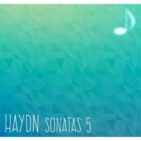 Piano Sonata No. 21 in D minor: 2nd Movement_Norbert Larenz,Joseph Haydn