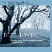 Symphony No. 2 in D Major, Op. 36: IV. Allegro molto (第四乐章 很快的快板)_San Francisco Symphony
