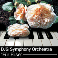 Für Elise_DJG Symphony Orchestra