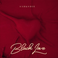 Strength Of A Woman(feat. Stonebwoy)_Sarkodie,Stonebwoy