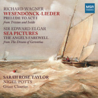 Wesendonck-Lieder: IV. Schmerzen (Arranged by Nigel Potts)_Sarah Rose Taylor,Nigel Potts